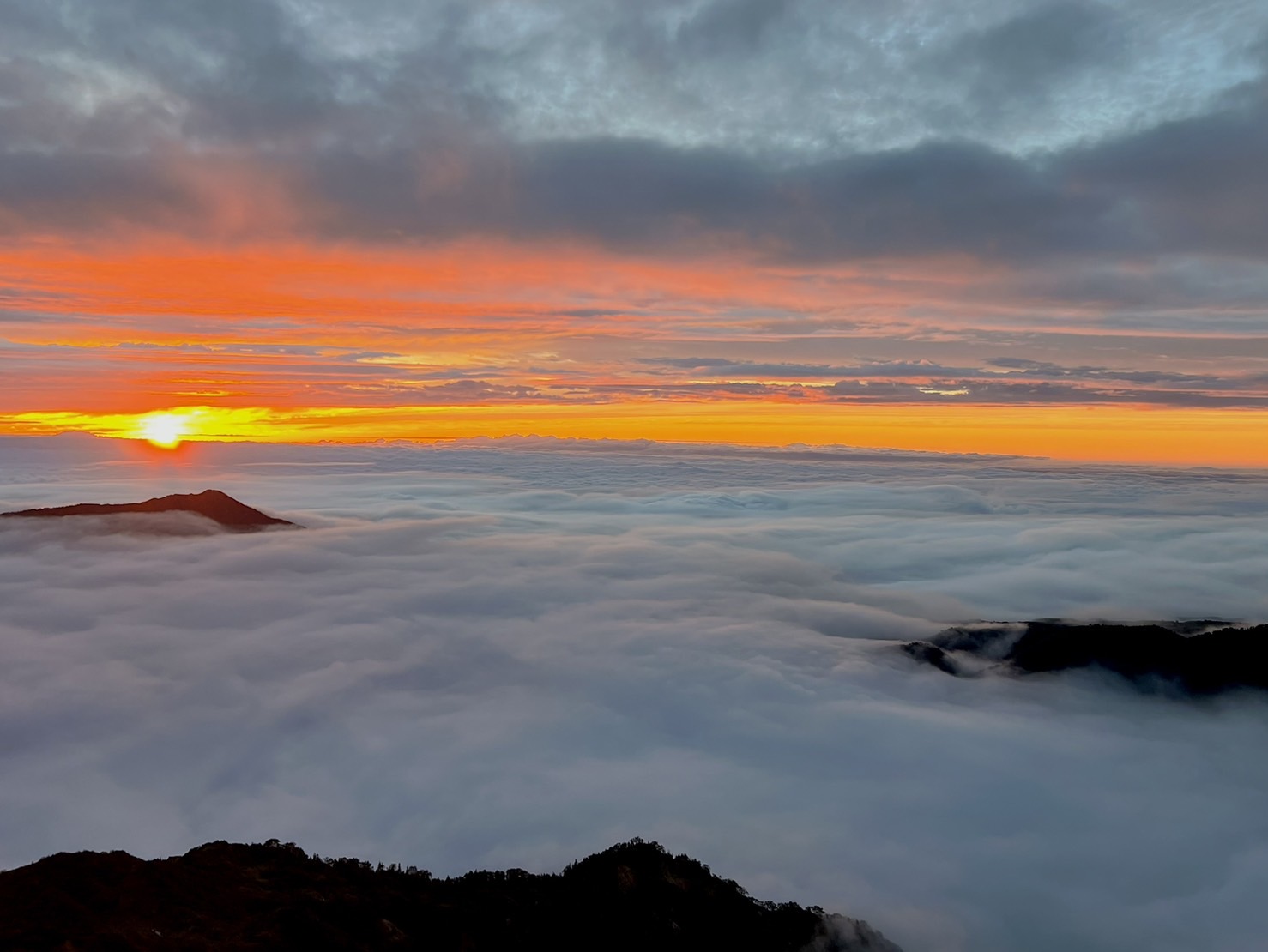 Index of /wp-content/uploads/2023/10/